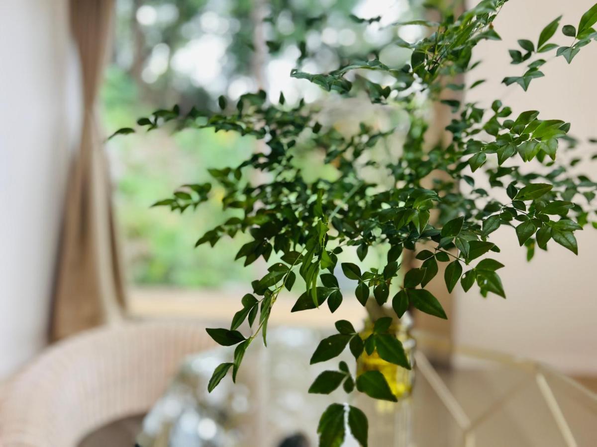 Yama'Oto - Nature Luxury Stay Motobu Exteriér fotografie